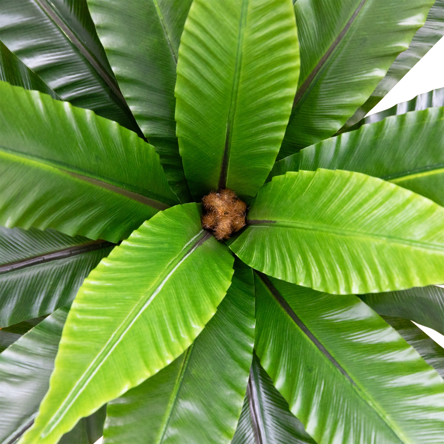 Fougère artificielle en pot deux tons avec nid d'oiseau - 22&nbsp;po - Vert et brun