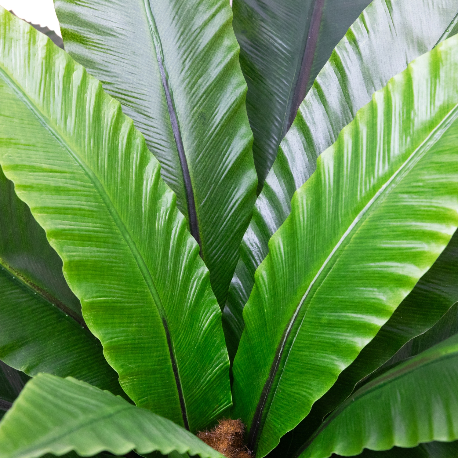 Fougère artificielle en pot deux tons avec nid d'oiseau - 22&nbsp;po - Vert et brun