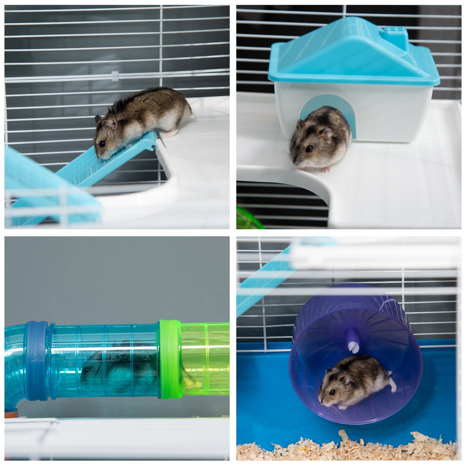 PawHut Hamster Cage, Large Small Animal House, 5-Level Guinea Pig Cage Gerbil Haven, Tunnel Tube System, with Water Bottle, Exercise Wheel, Food