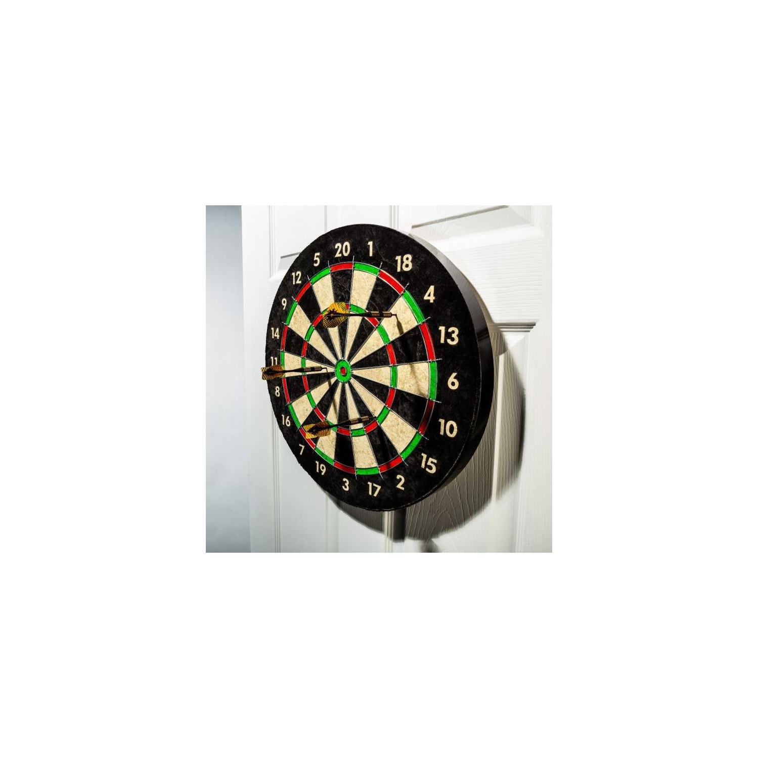 Pro Wire Bristle Dartboard
