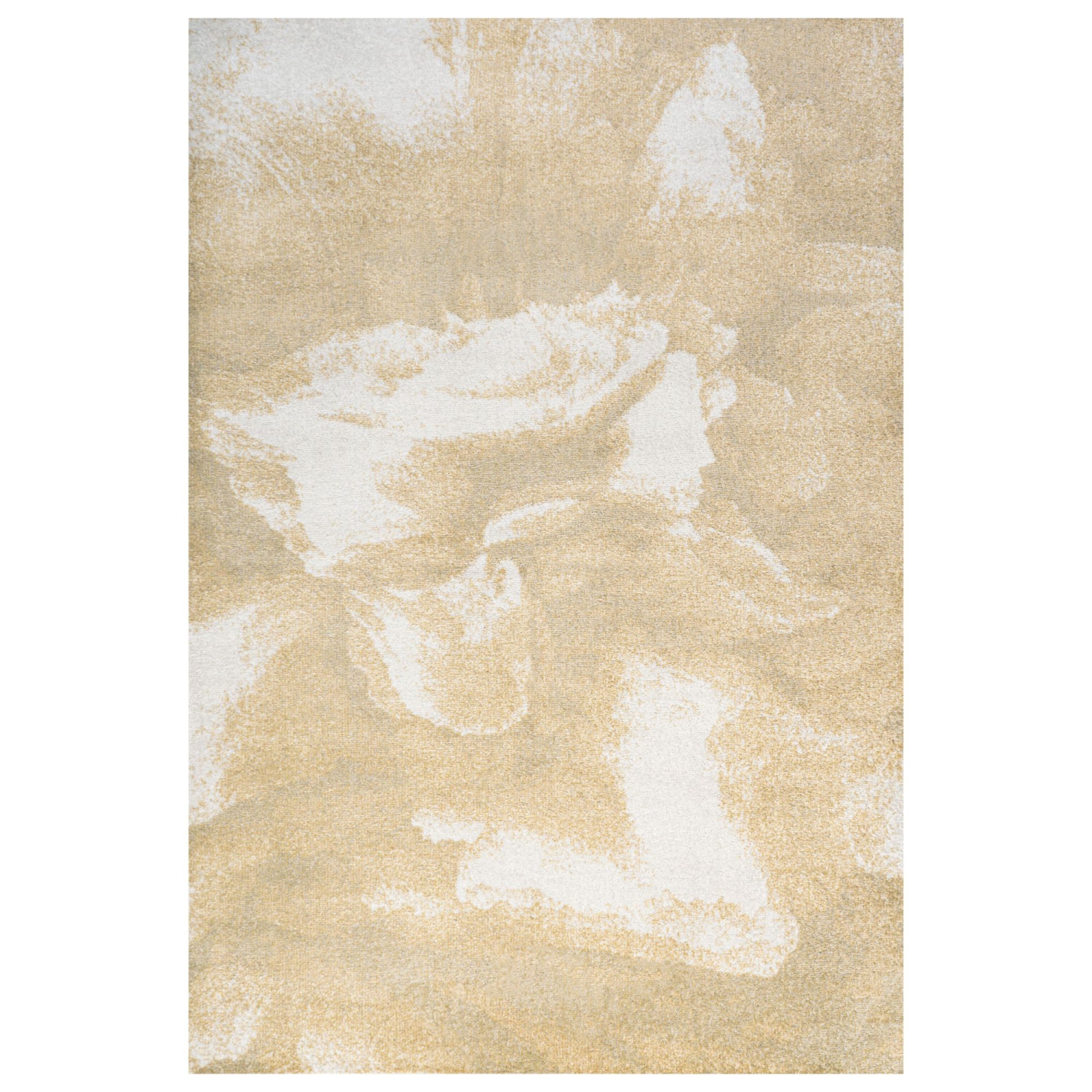 Petalo Abstract Two Tone Modern Area Rug