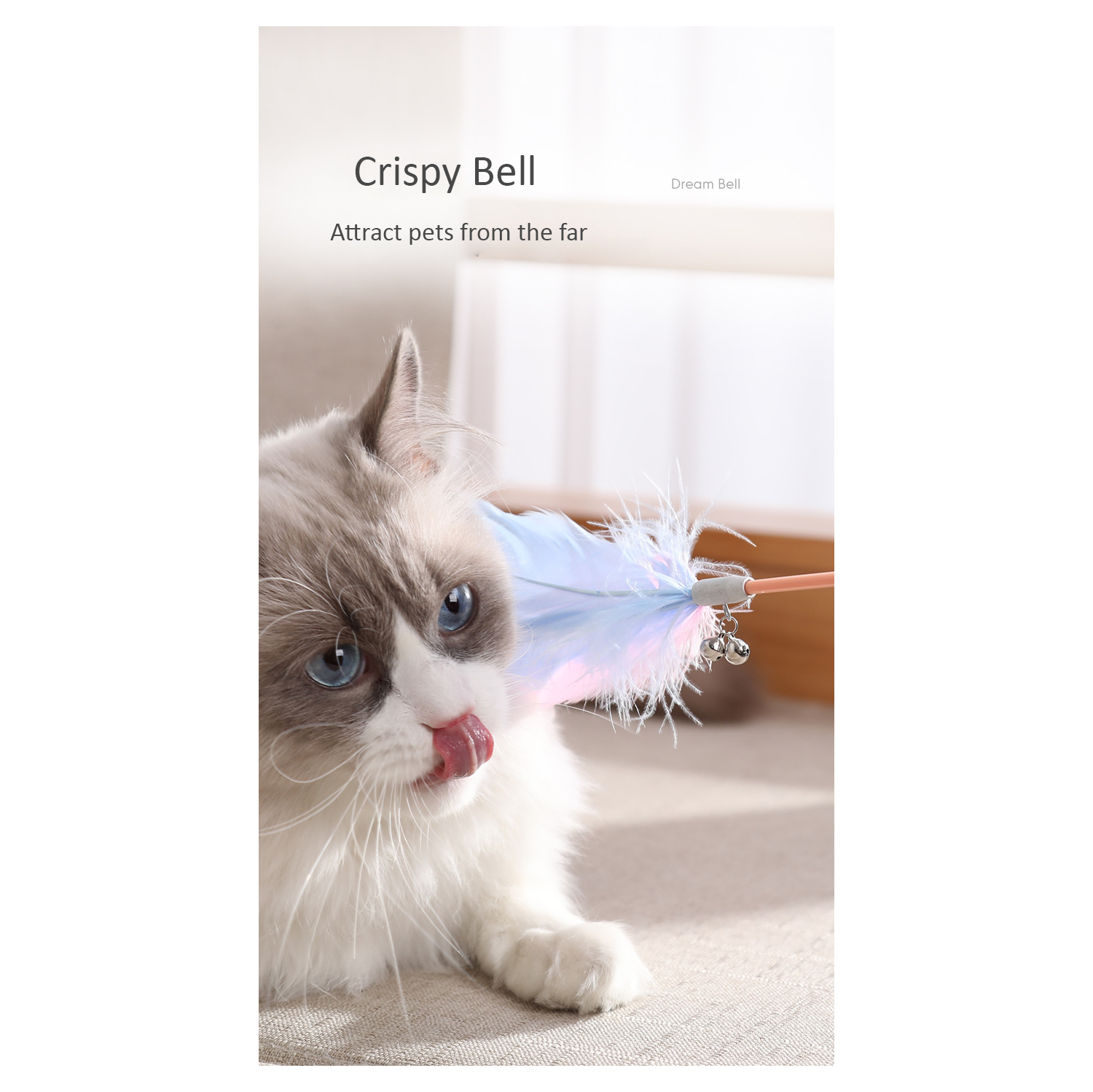 Bâton de PET avec pointeur de lumière infrarouge