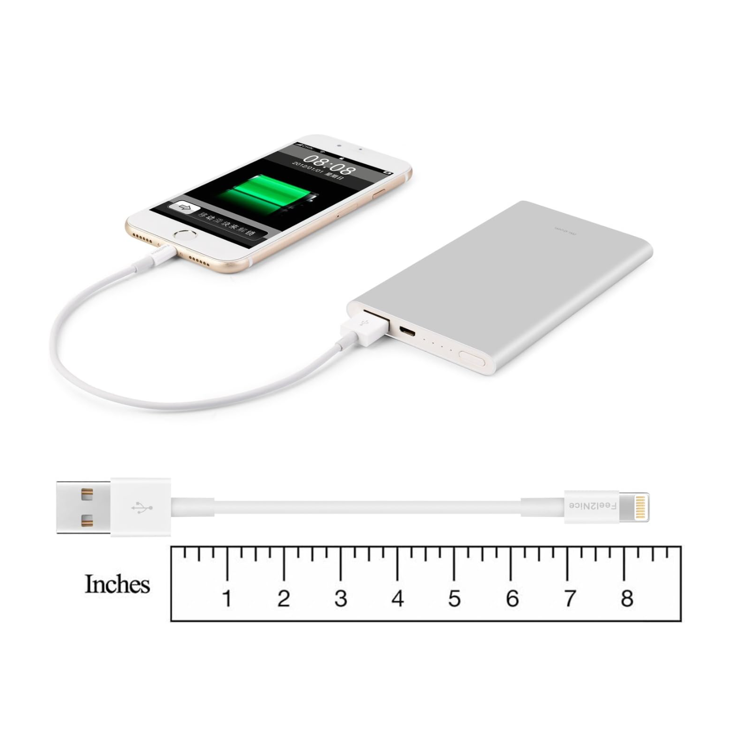 iPhone Charger Cord / 10 Pack 1FT