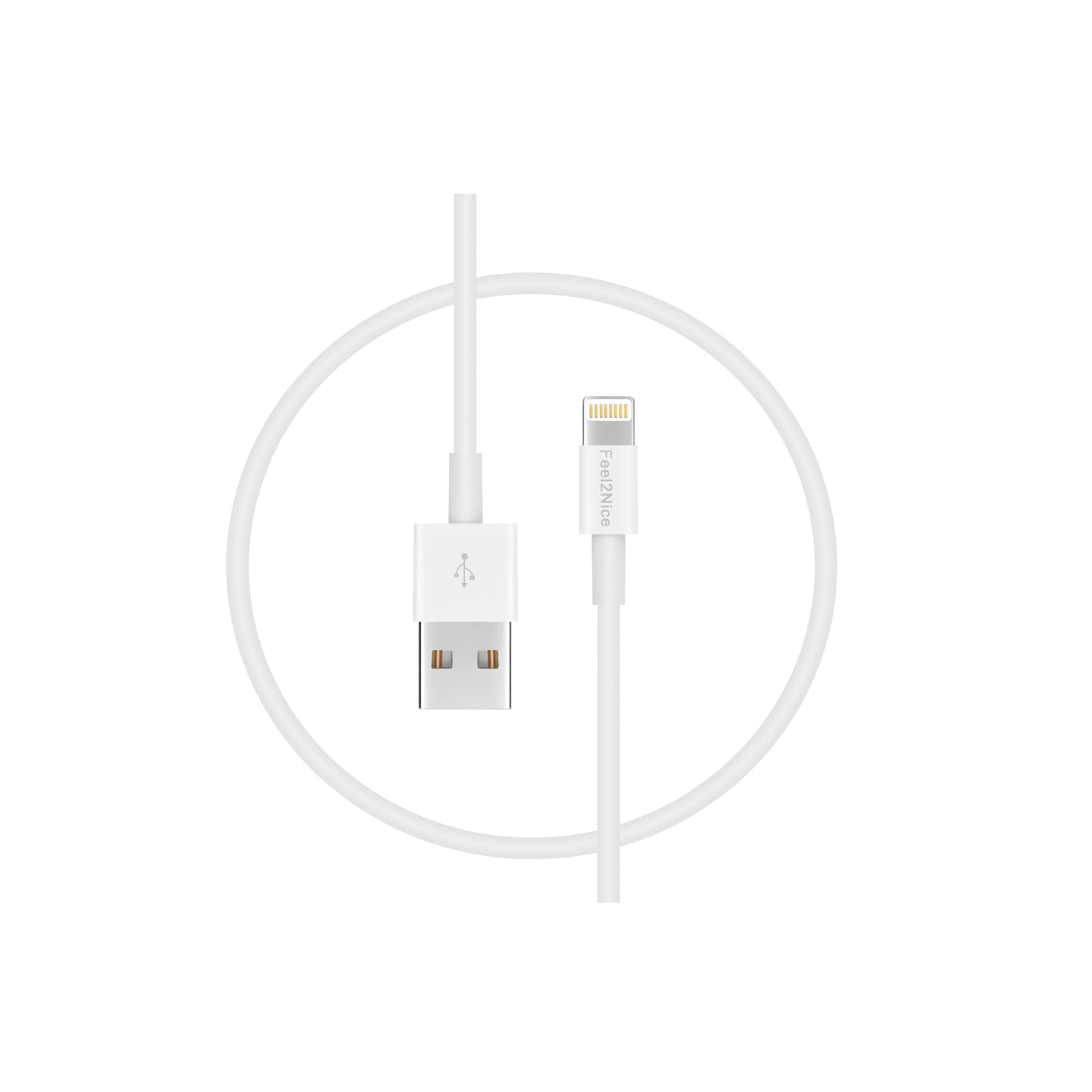 iPhone Charger Cord / 10 Pack 1FT