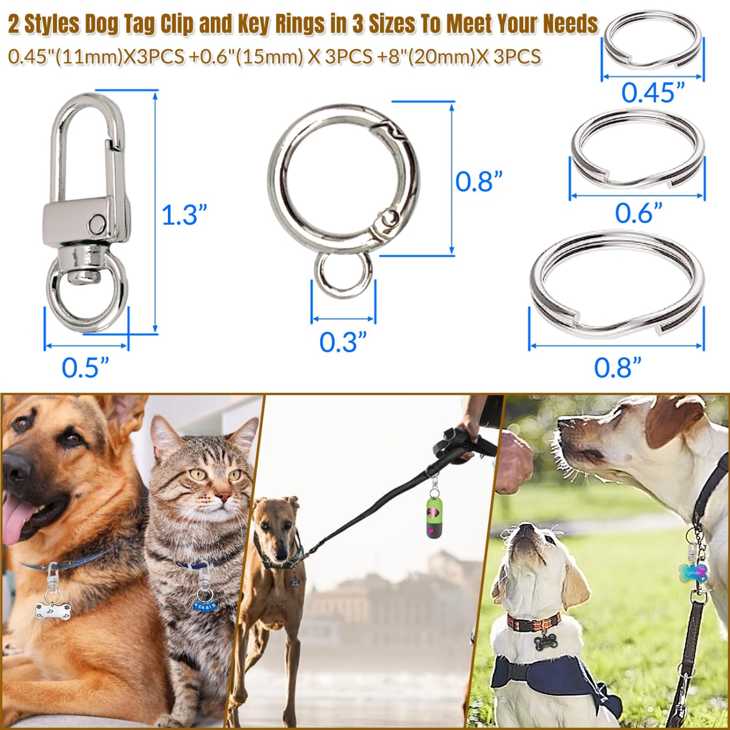 Dog collar 2024 tag rings