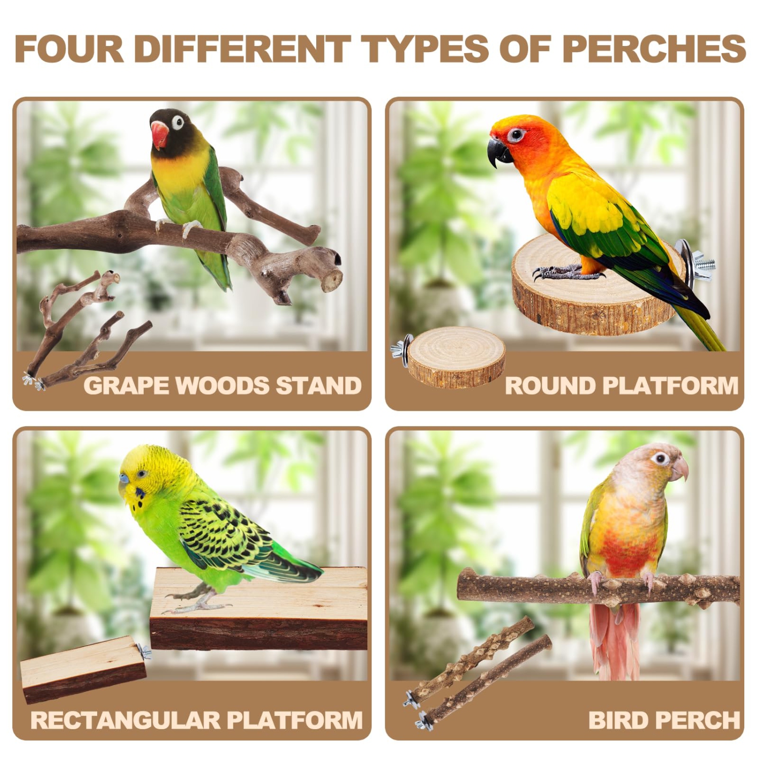 Perches for Parrots, Parakeets, & Other Birds
