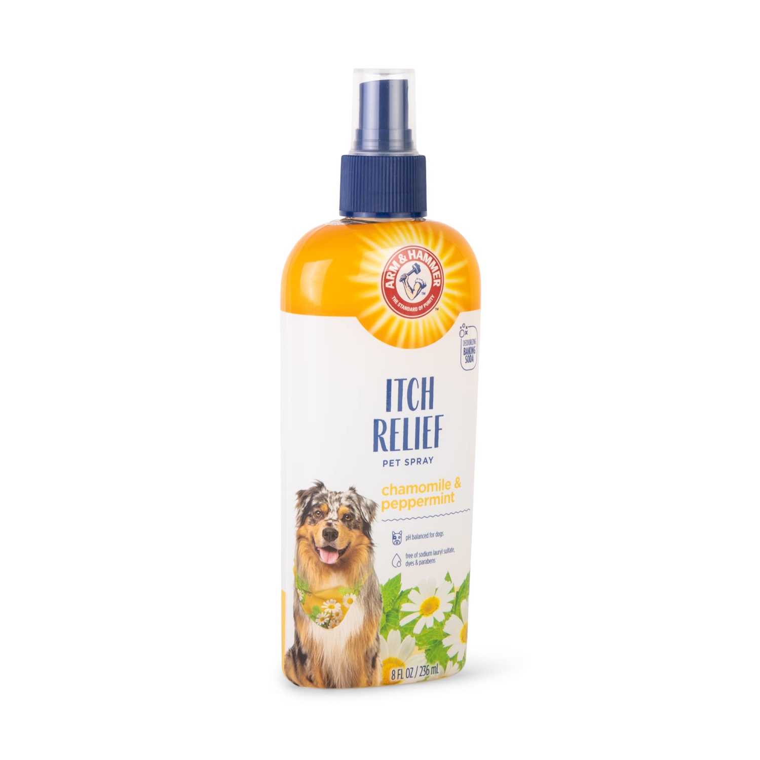 Anti itch spray for dogs pets at sales home