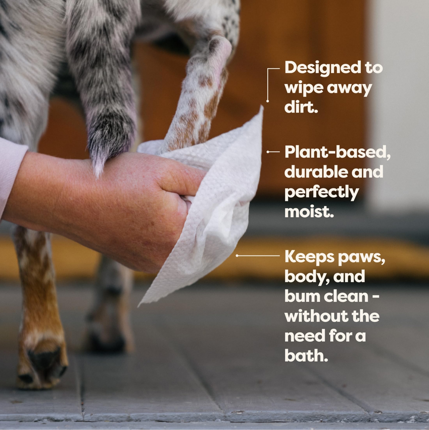 Dog cleansing outlet wipes