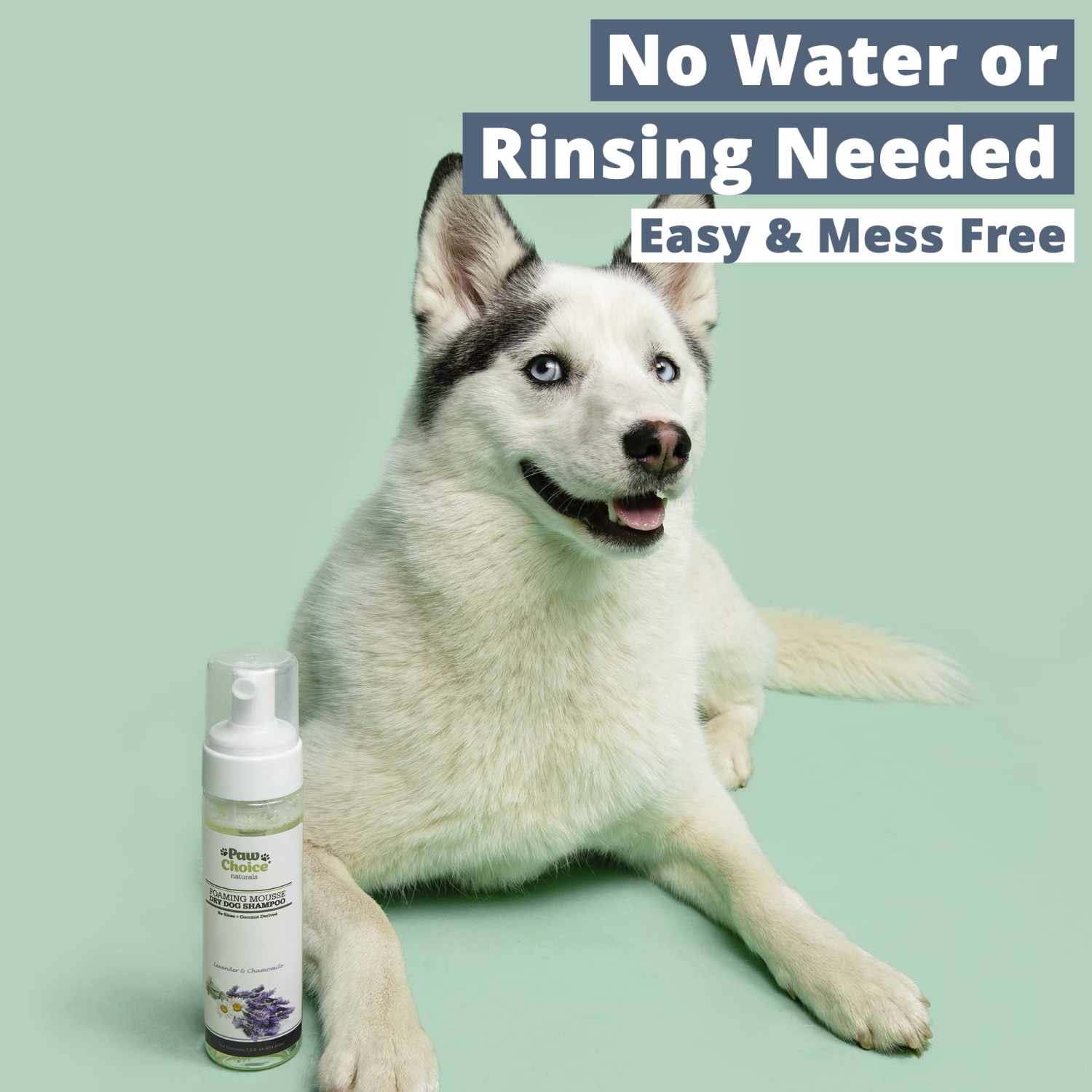 Dog best sale foam shampoo