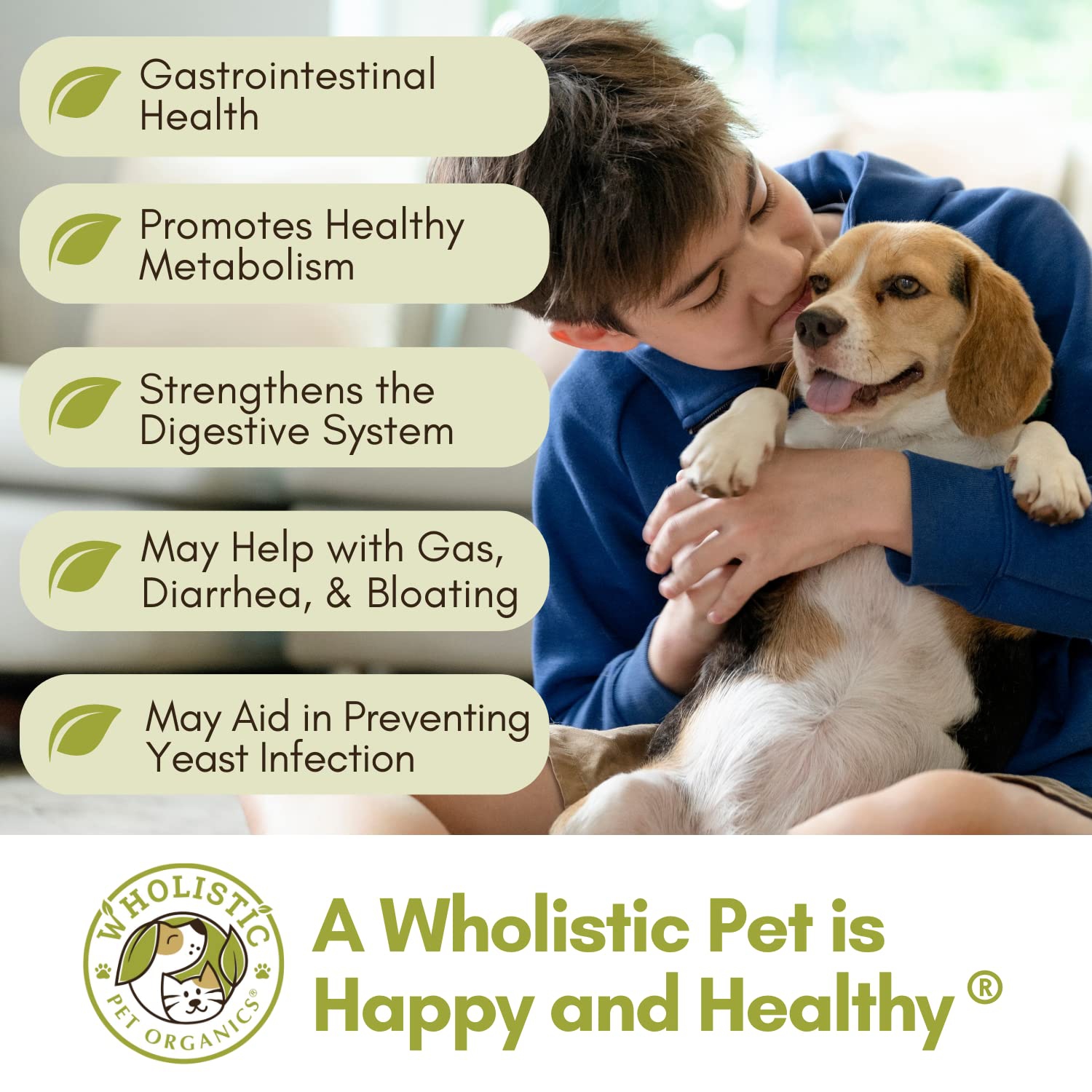 Probiotics for Dogs: Could Your Pet Benefit From Healthy Bacteria? - GoodRx
