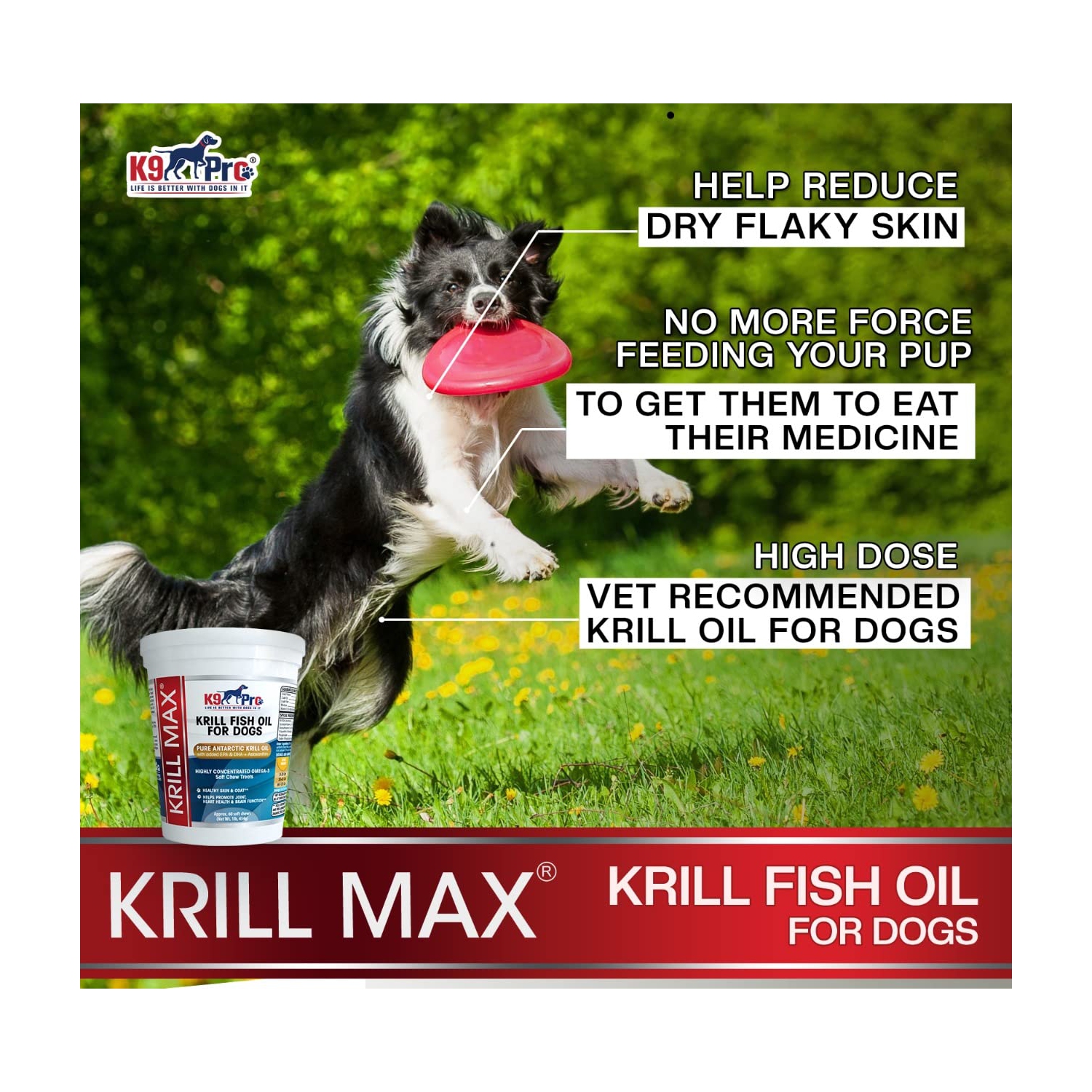 Krill oil 2024 chews for dogs