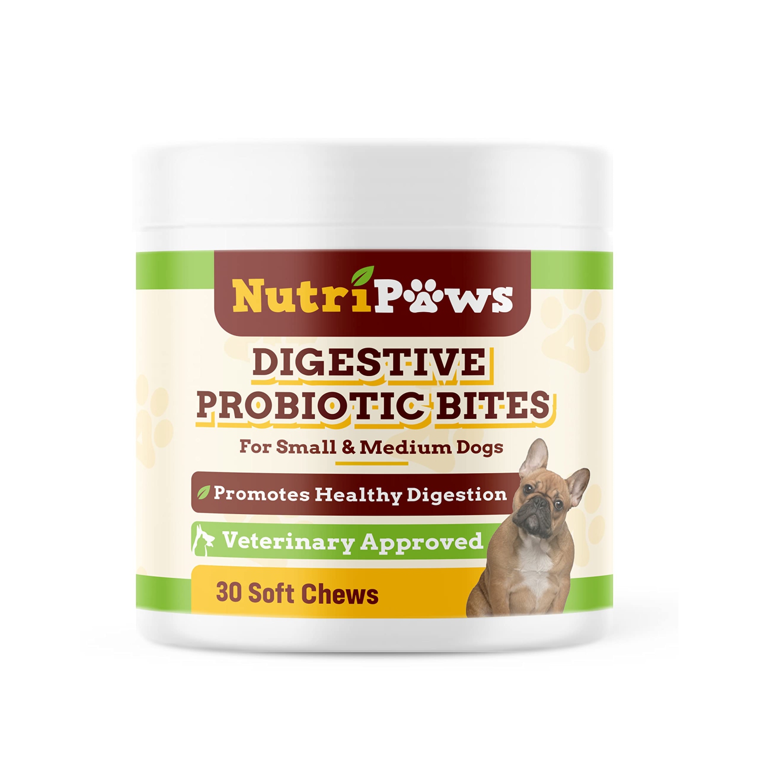 Digestive supplements 2024 for dogs