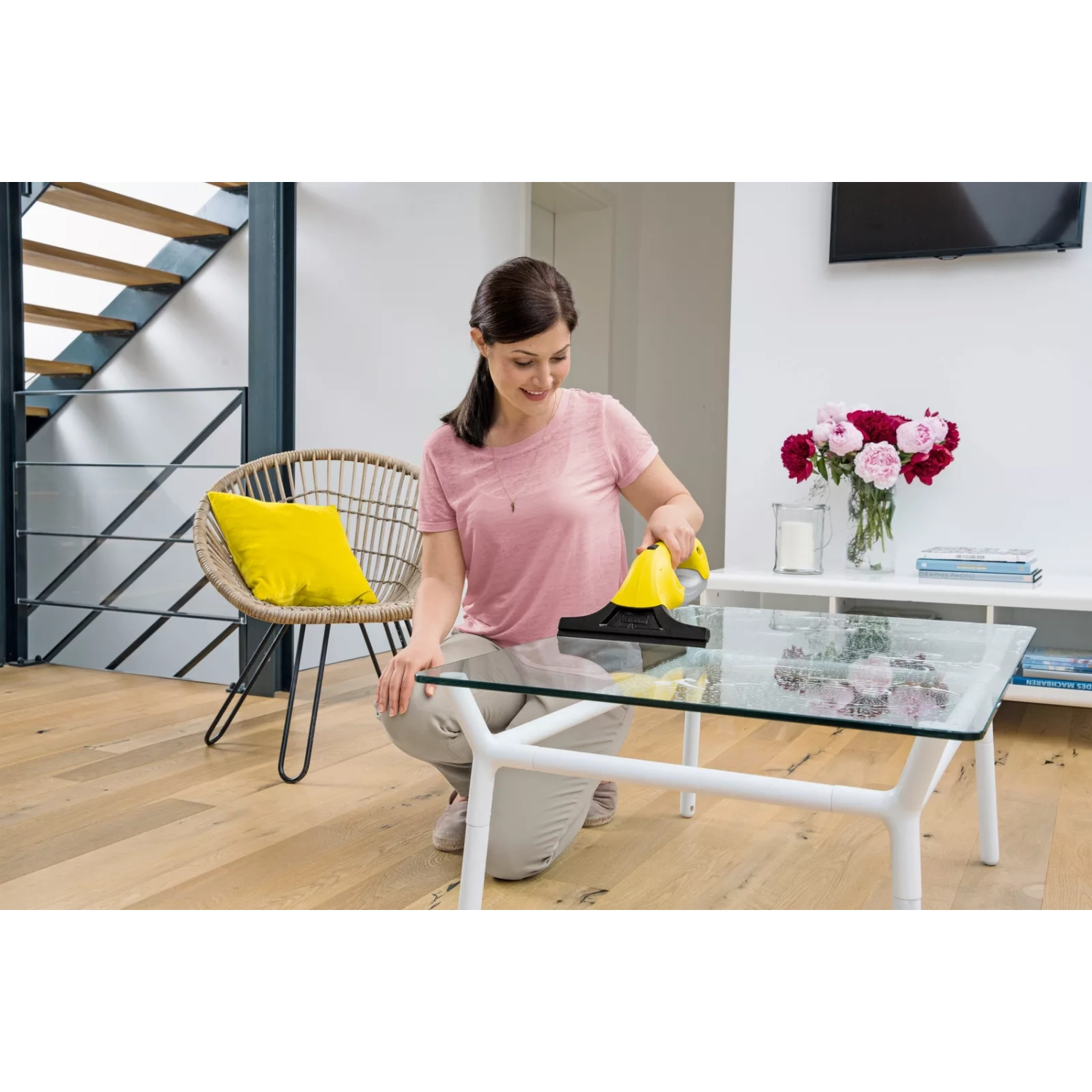 Karcher WV 1 Plus Window Vacuum