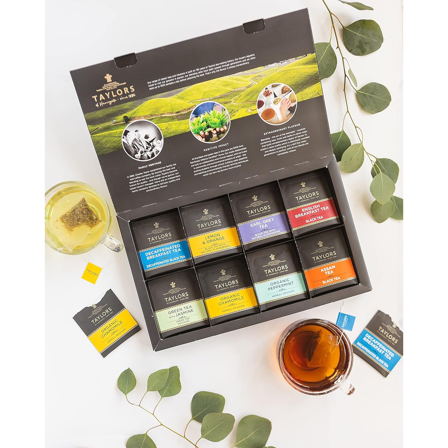 Taylors of Harrogate Assorted Specialty Teas Box, Classic Tea Variety Box,