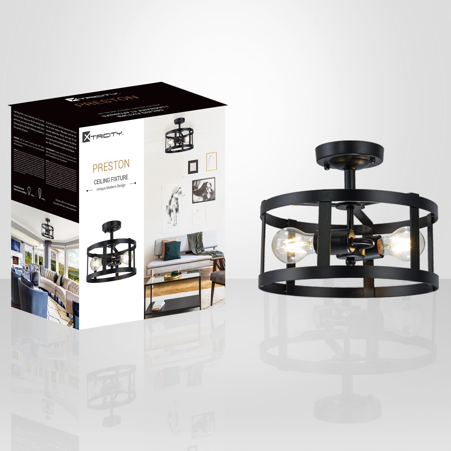 Xtricity - 2-Light Decorative Ceiling Light, 11.8" Width, From the Preston Collection, Black