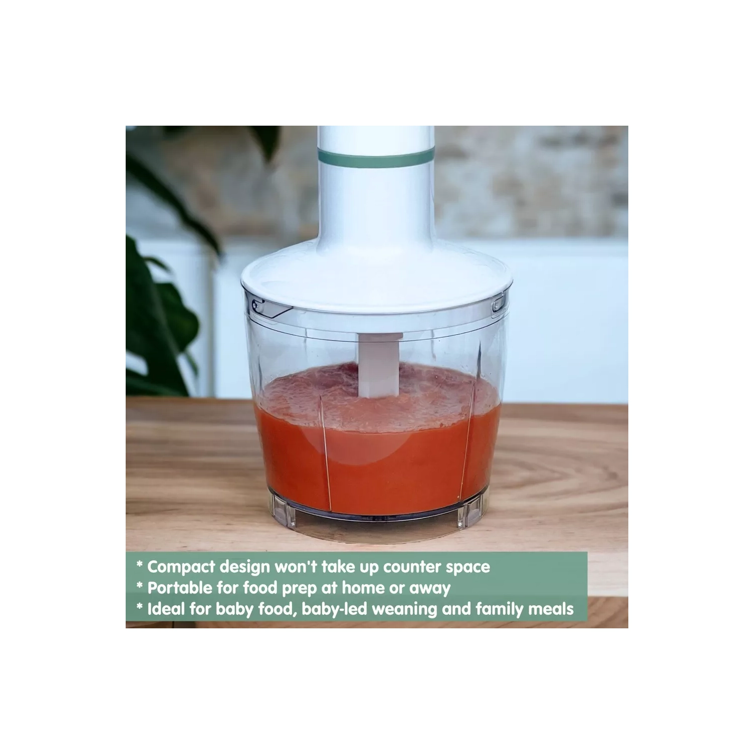 Sage Spoonfuls 2-in-1 Baby Food Maker, Baby Food Processor and Immersion Blender - White - 3pc