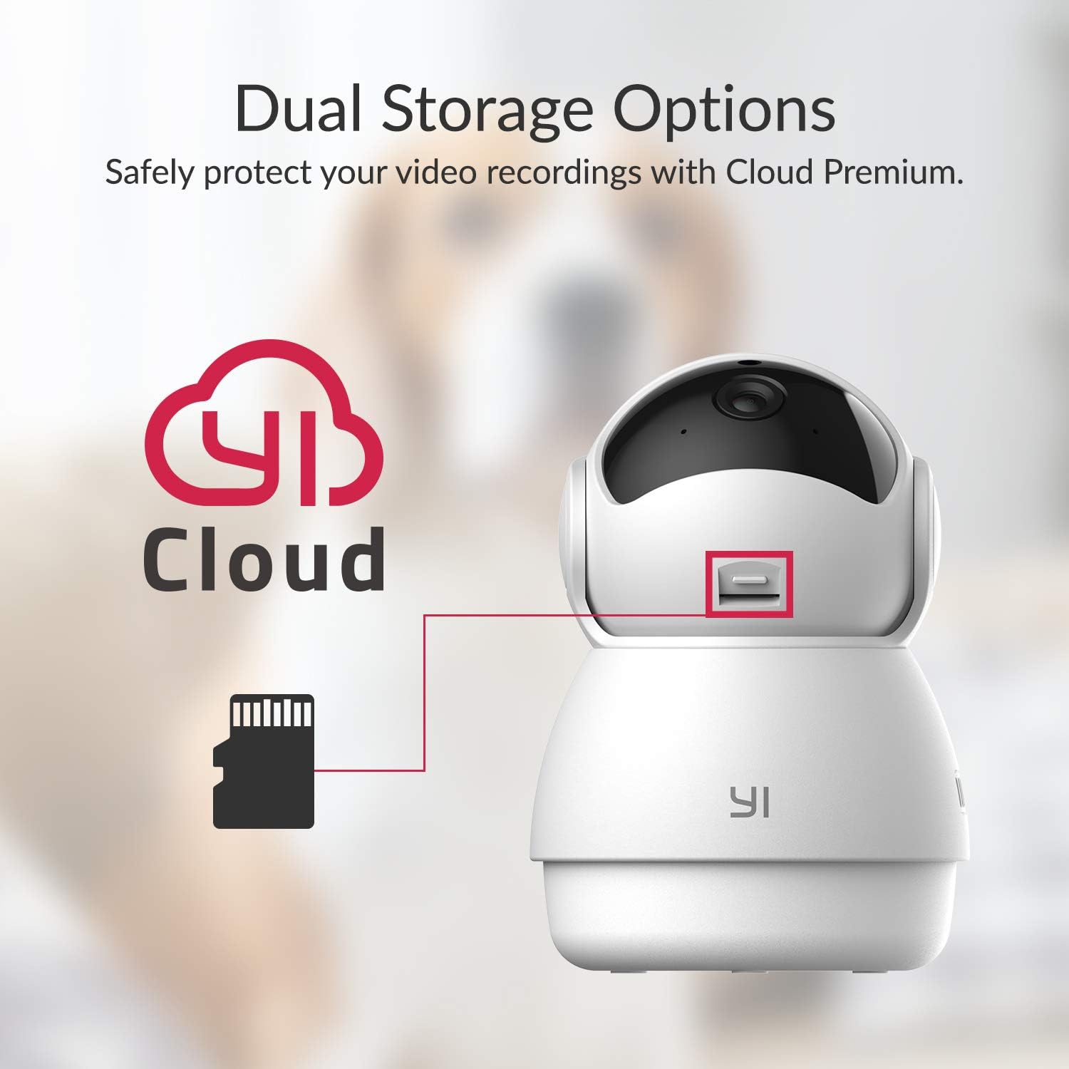 YI 2pc Pan-Tilt Dome Security Camera, 360 Degree 2.4G Smart Indoor Pet Dog Cat Cam with Night Vision, 2-Way Audio, Motion Detection, Phone APP,