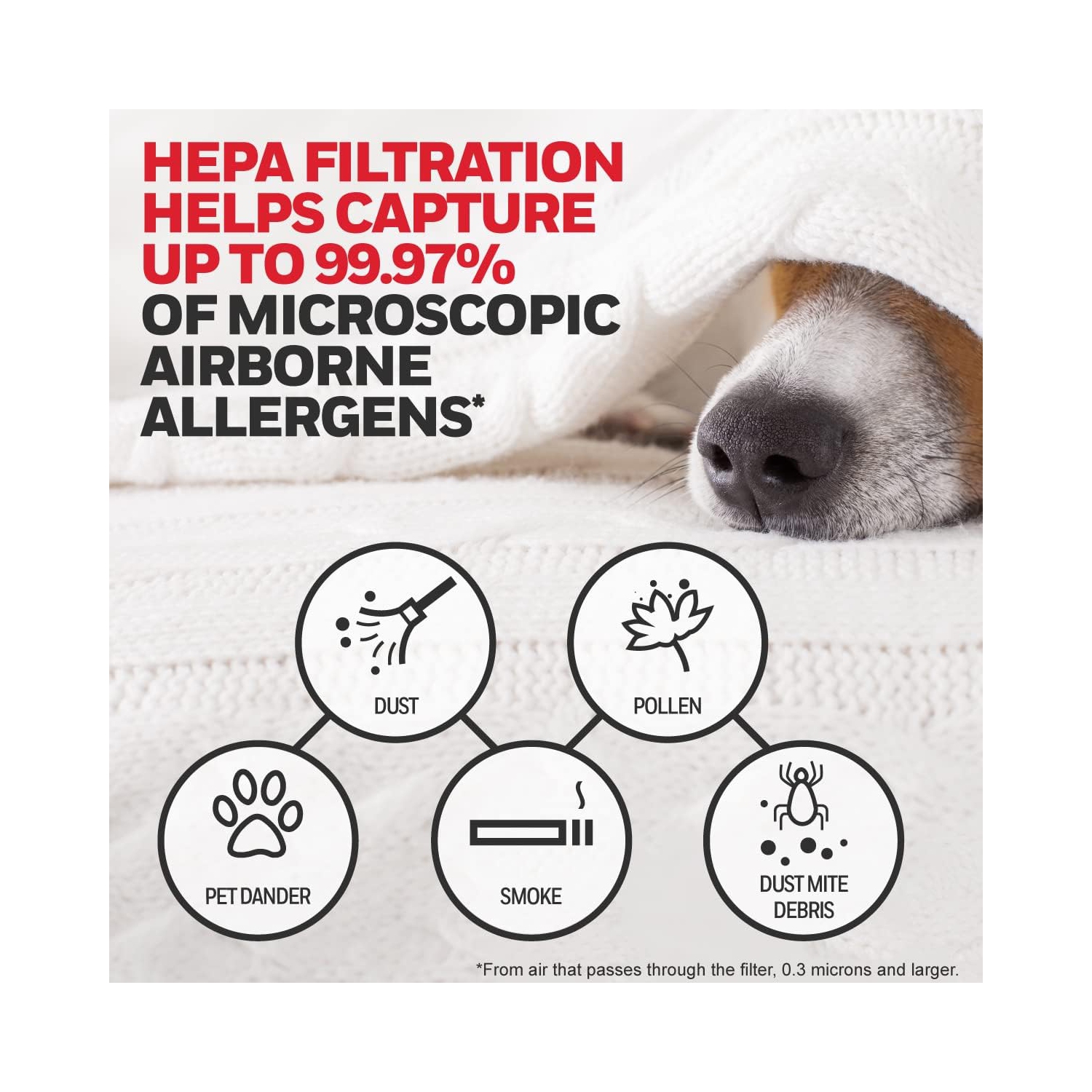 Honeywell HEPA Air Purifier Filter Kit Includes 3 HEPA R Replacement Filters and 4 A Carbon Pre-Cut Pre-Filters Airborne Allergen Air Filter Targets