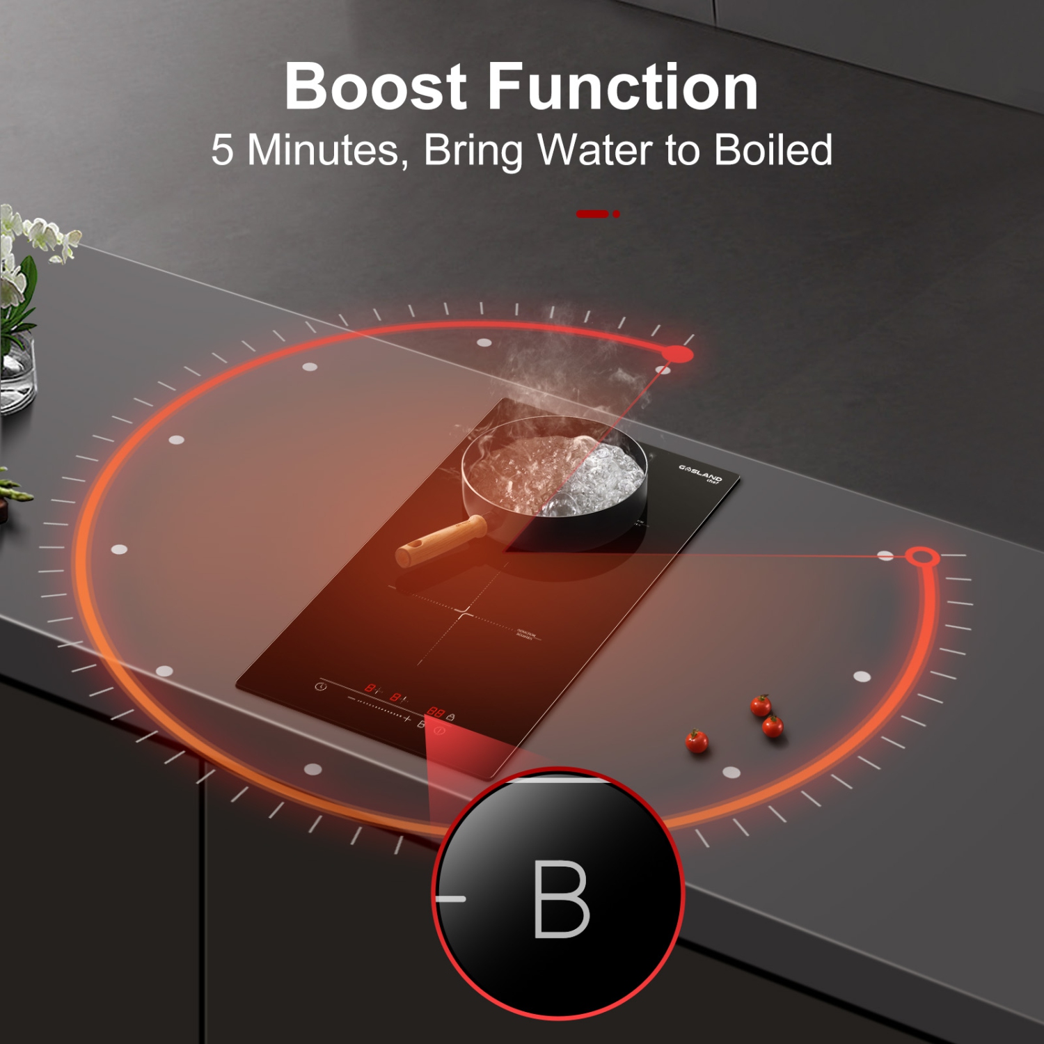 GASLAND 12 in. Induction Cooktop Smooth Top with 2 Elements in Black