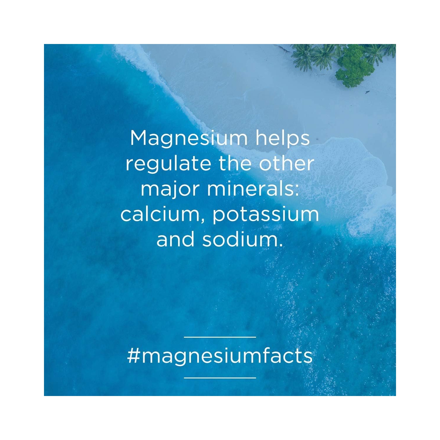 Natural Calm Magnesium Gummies, 120 Count - Chewable