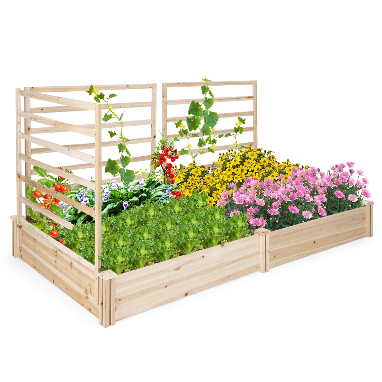 Costway Raised Garden Bed with 3 Trellises with Divided Compartments for Flowers Natural