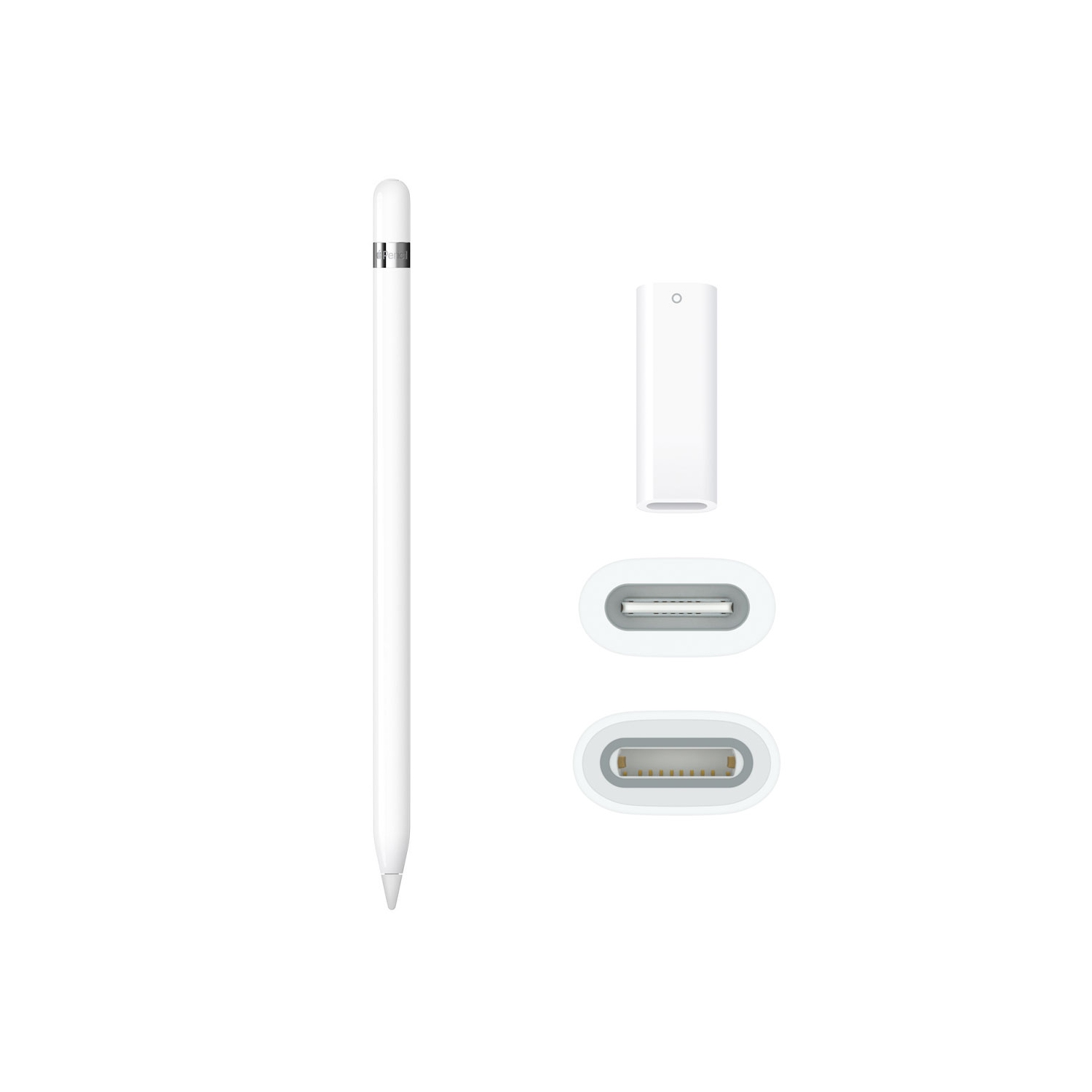 Apple Pencil avec adaptateur USB-C à Apple Pencil - remis à neuf (État correct)