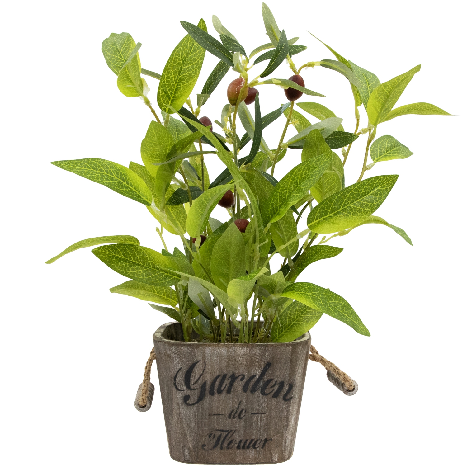 Artificial Olive Plant in Rustic Pot with Handles - 14"