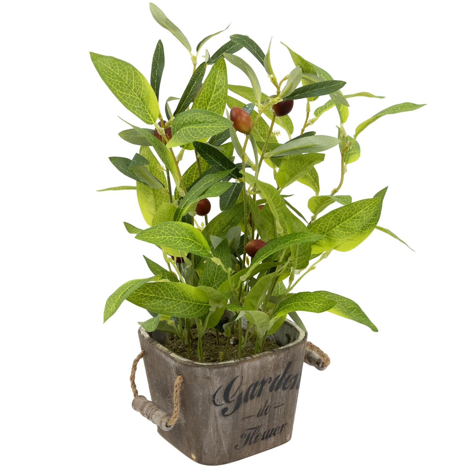 Artificial Olive Plant in Rustic Pot with Handles - 14"