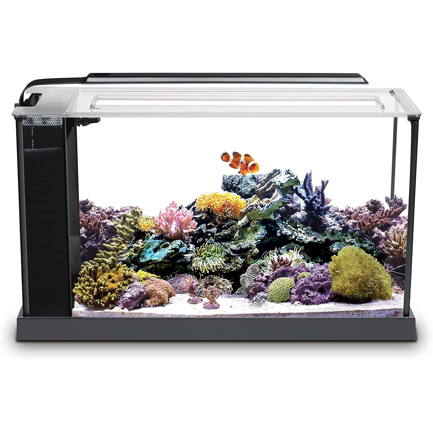 Aquarium de poissons d'eau salée Fluval Sea Evo V, noir, 5&nbsp;gal, 10528A1