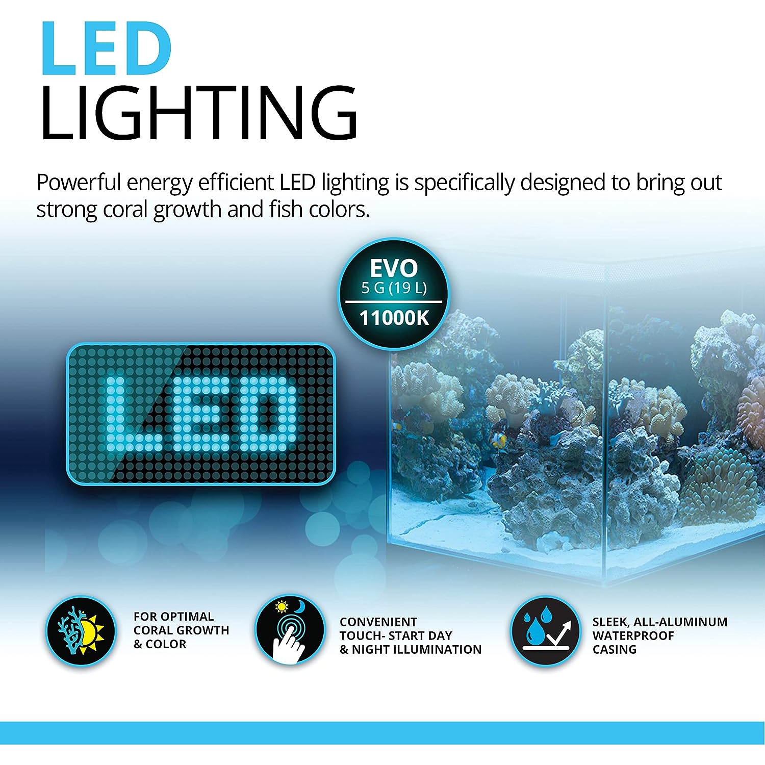 Aquarium de poissons d'eau salée Fluval Sea Evo V, noir, 5 gal, 10528A1