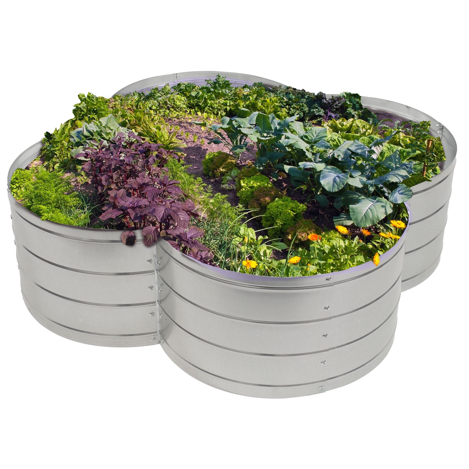 Jardinière surélevée en acier galvanisé à 4 feuilles en forme de trèfle de Sunnydaze - Argenté