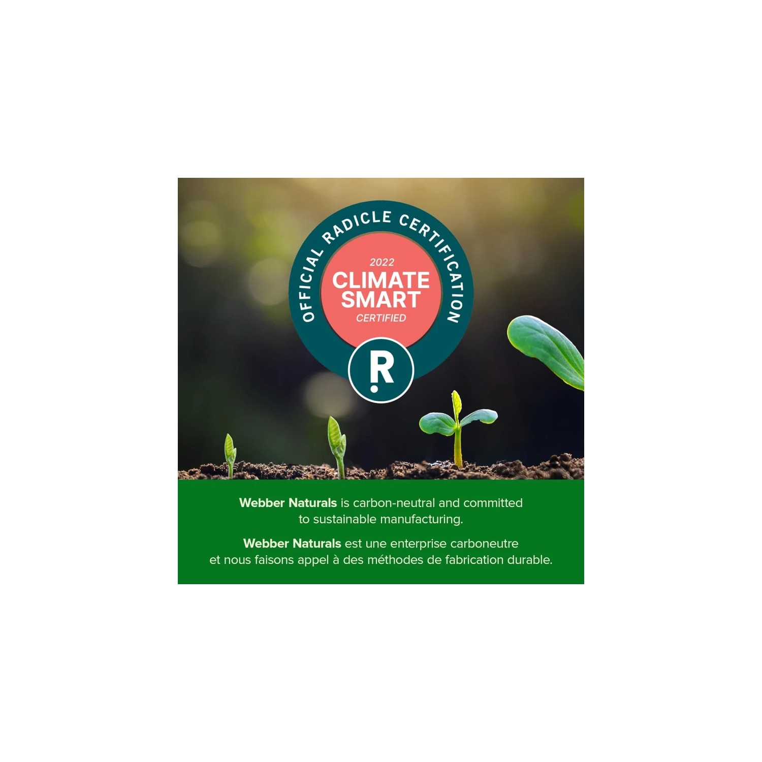 Magnesium Bisglycinate 200mg Capsules - 120 Count, Vegan Formula for Bone and Muscle Support