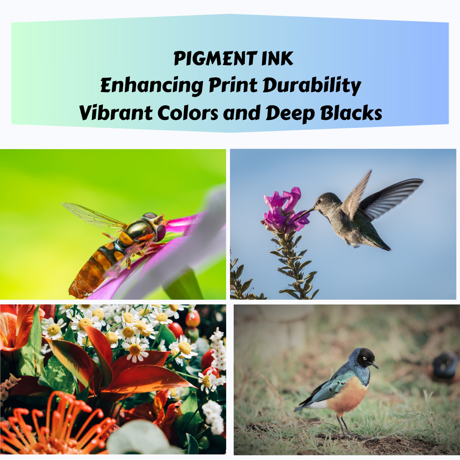 T542 Compatible Refill Set + Black of 5 Bottles All Supplied with Pigment Ink 542 - T542120 T542220 T542320 T542420 For Epson ET 5180 5150 5170 5850