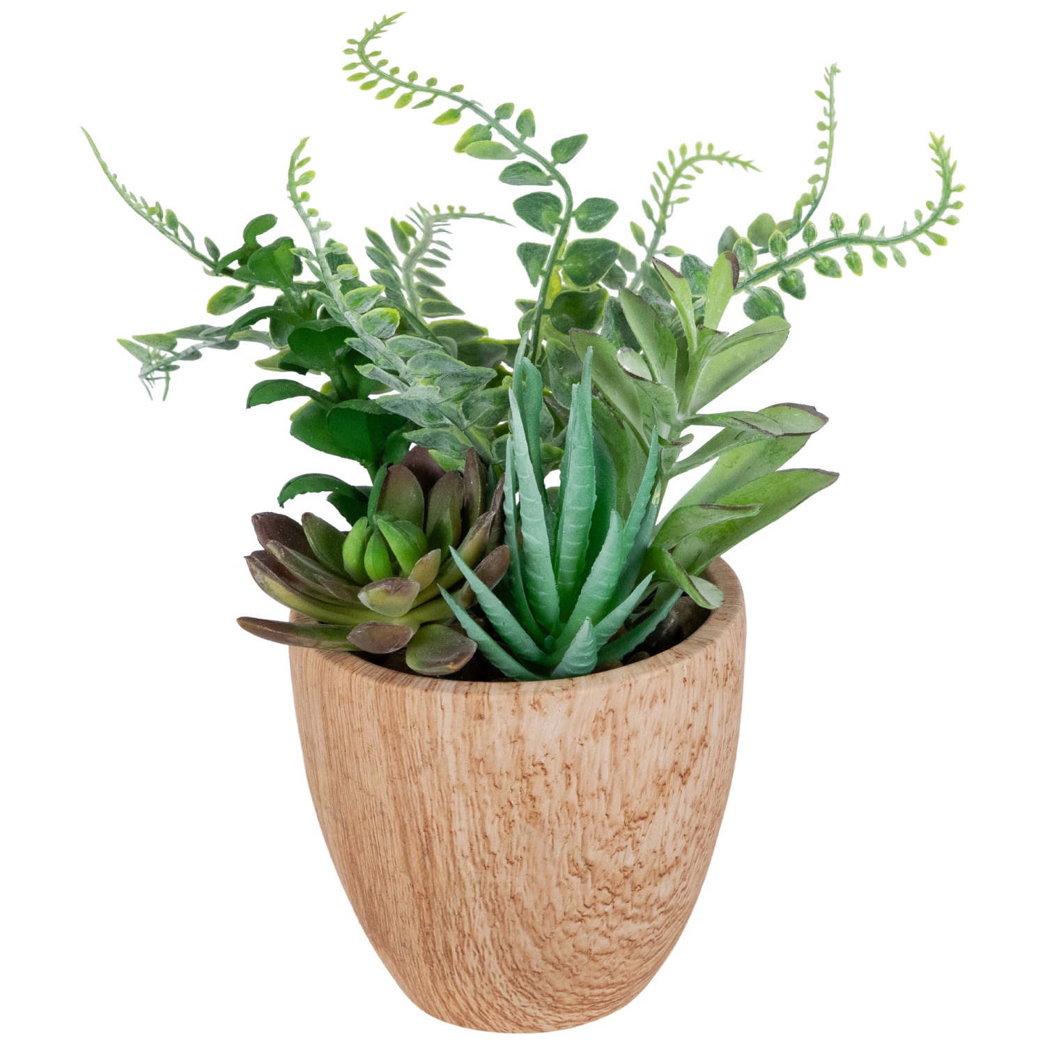 Potted Artificial Mixed Succulents and Fern Arrangement - 12"