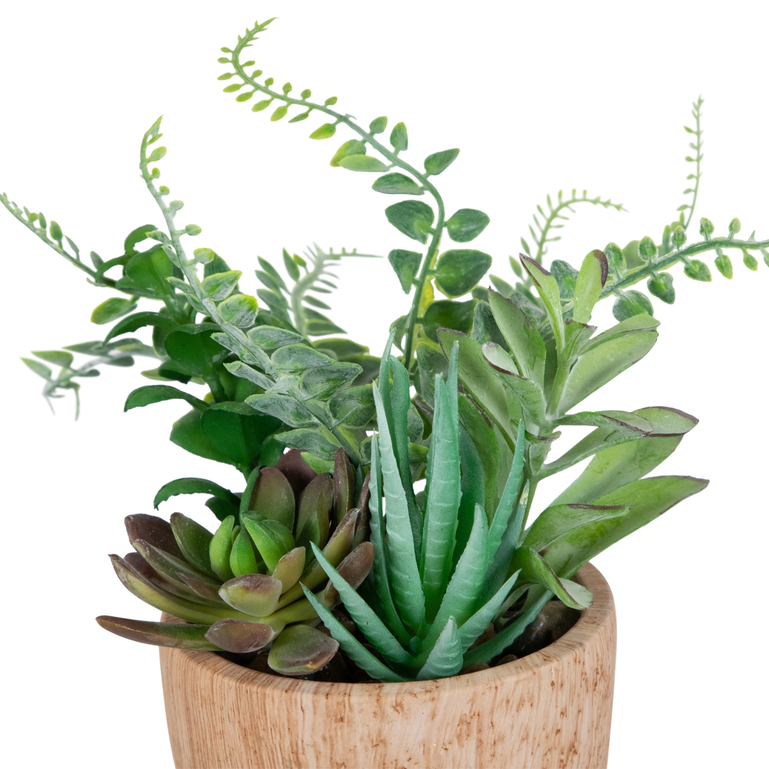 Potted Artificial Mixed Succulents and Fern Arrangement - 12"