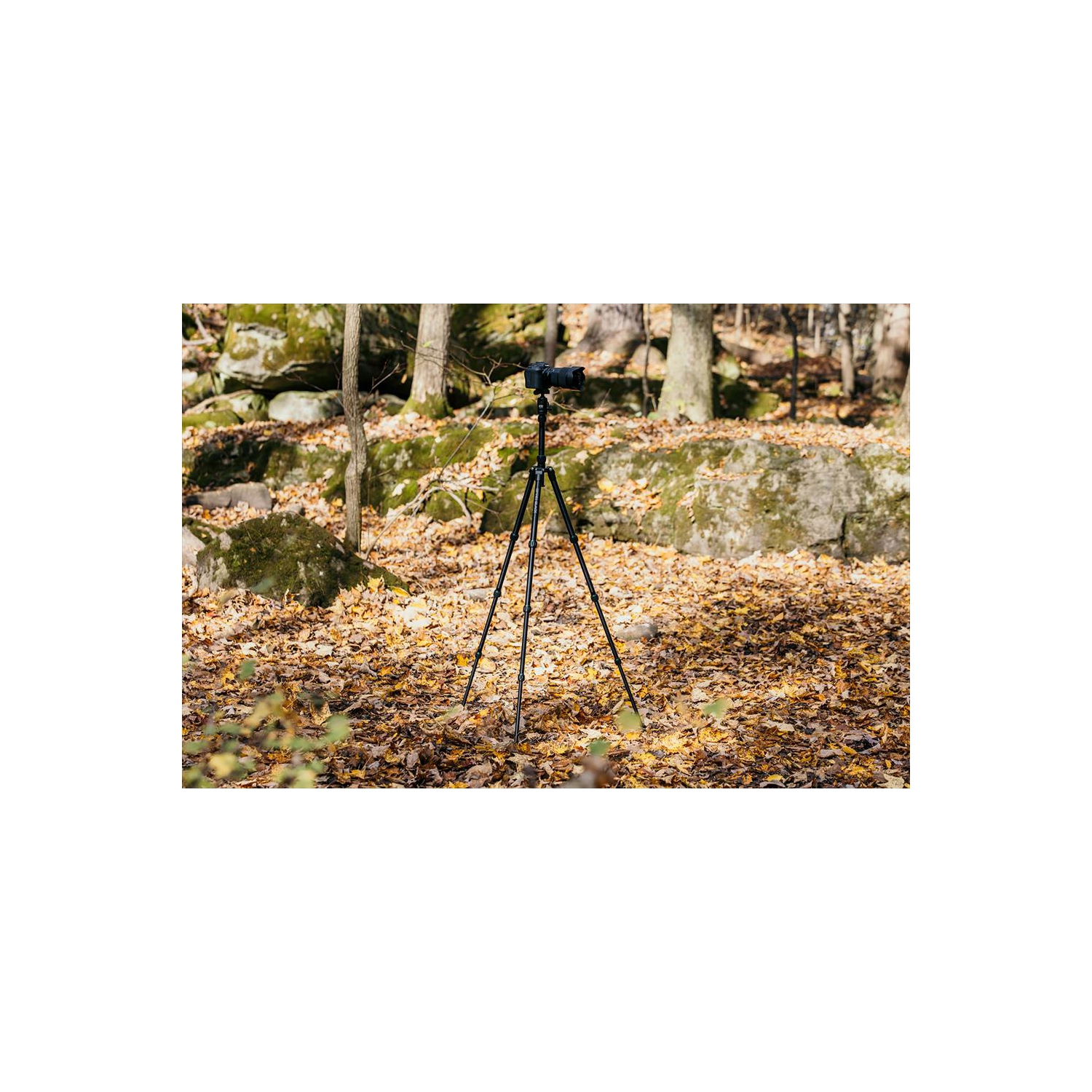 Optex Black 4-Section Pro Carbon Fibre Travel Tripod