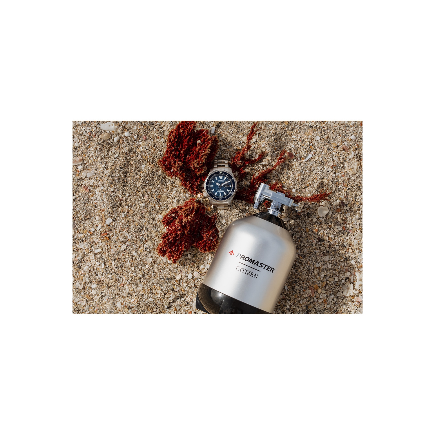 Citizen Mens Promaster Dive Automatic Automatic Watch 44mm Silver-Tone Stainless Steel Case and Bracelet with Blue Dial