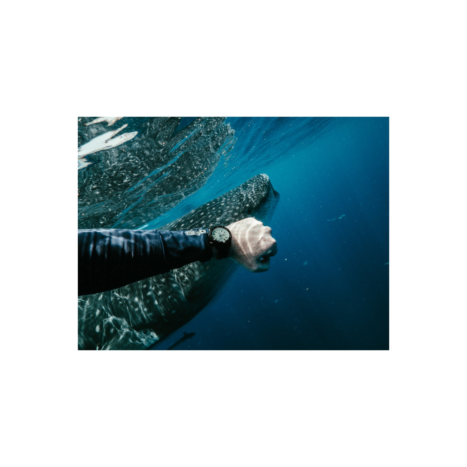 Montre automatique Promaster Dive pour hommes de Citizen 44&nbsp;mm avec boîtier et bracelet en inox noir et cadran jaune