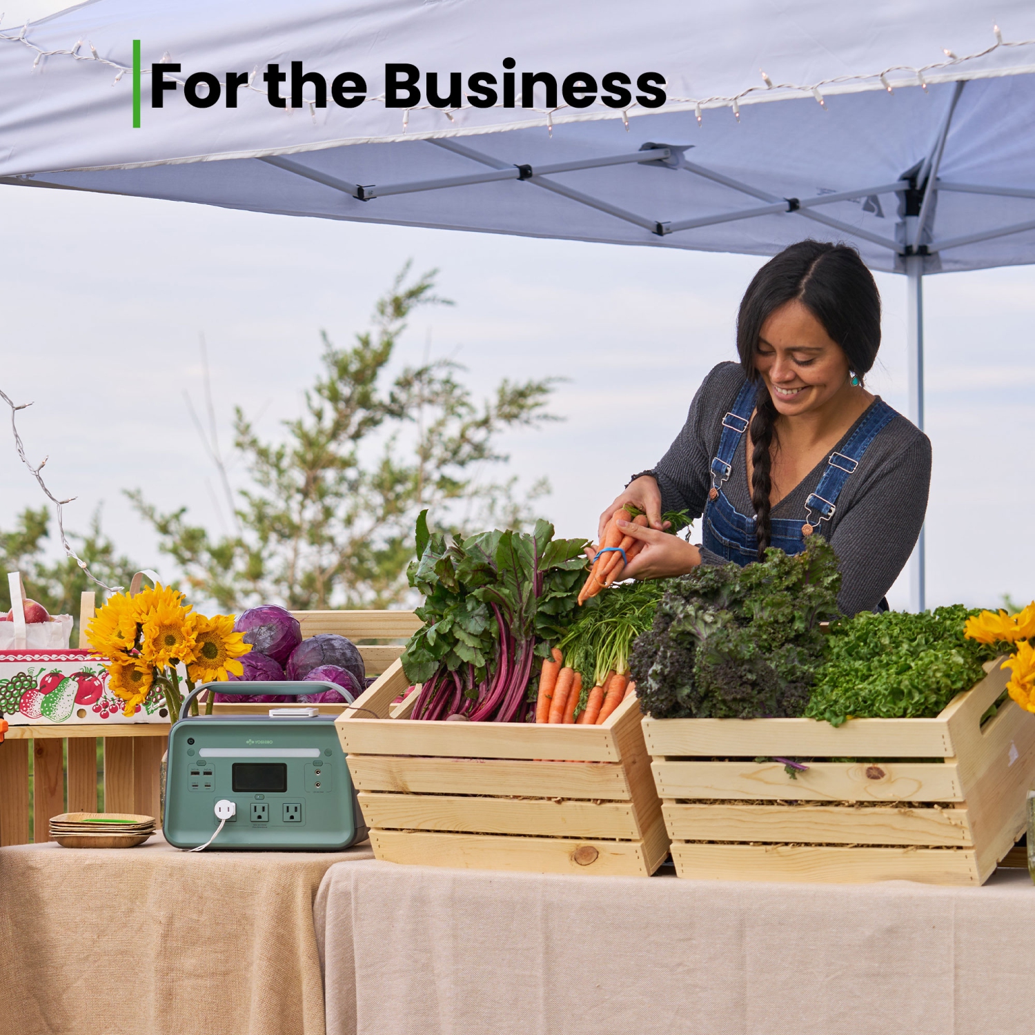 602&nbsp;Wh générateur solaire SSD 9 ports K6SP11 de Yoshino, 660&nbsp;W avec alimentation d'urgence panneau solaire 1 pièces, onde sinusoïdale pure,