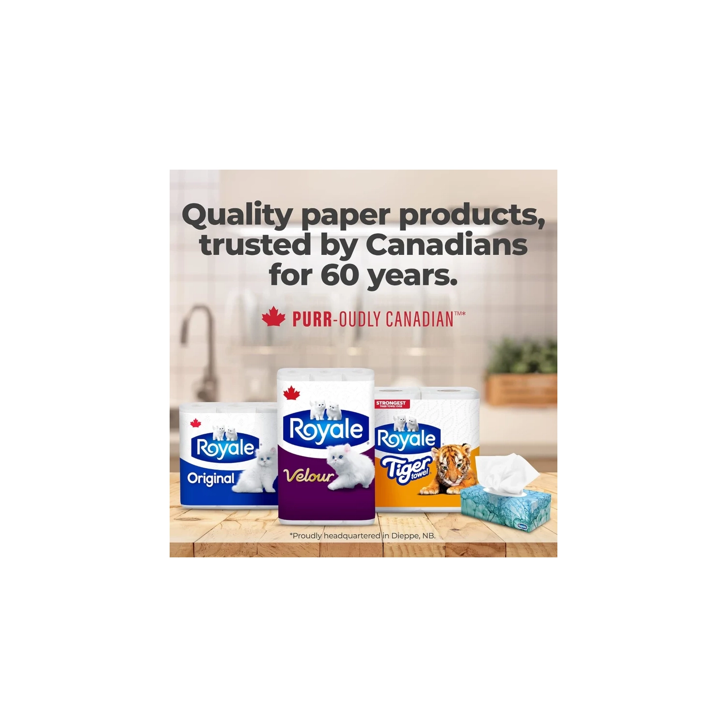 Royale Velour Toilet Paper: 12 Equals 24 Rolls | 142 Bath Tissues per Roll - Soft & Absorbent