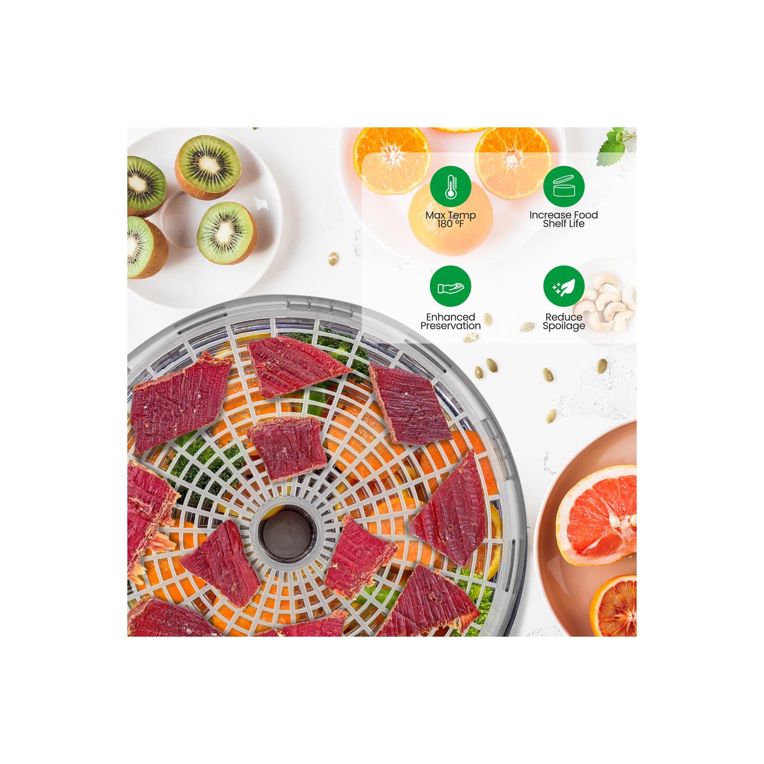 Electric Countertop Food Dehydrator, Food Preserver