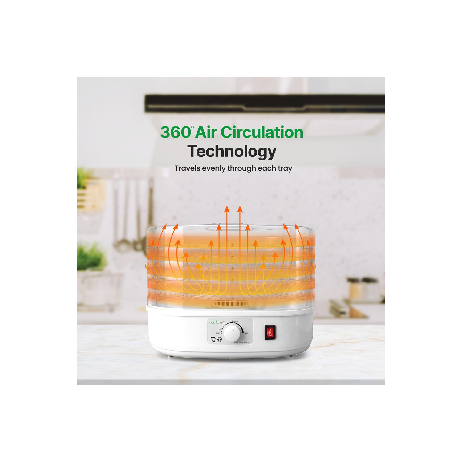 Electric Countertop Food Dehydrator, Food Preserver