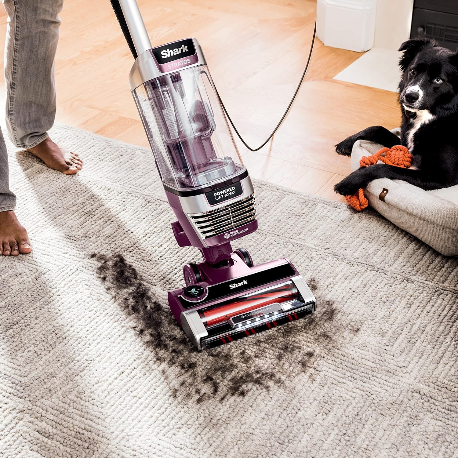 Shark AZ3000C Stratos Upright Vacuum with DuoClean® PowerFins™ HairPro™, Powered Lift-Away®, Self-Cleaning Brushroll