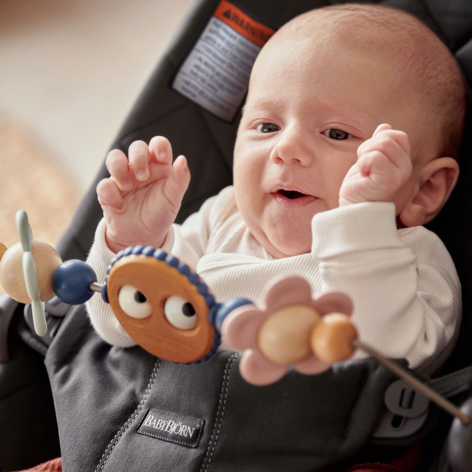 BabyBjorn Toy for Bouncers - Googly Eyes Pastels