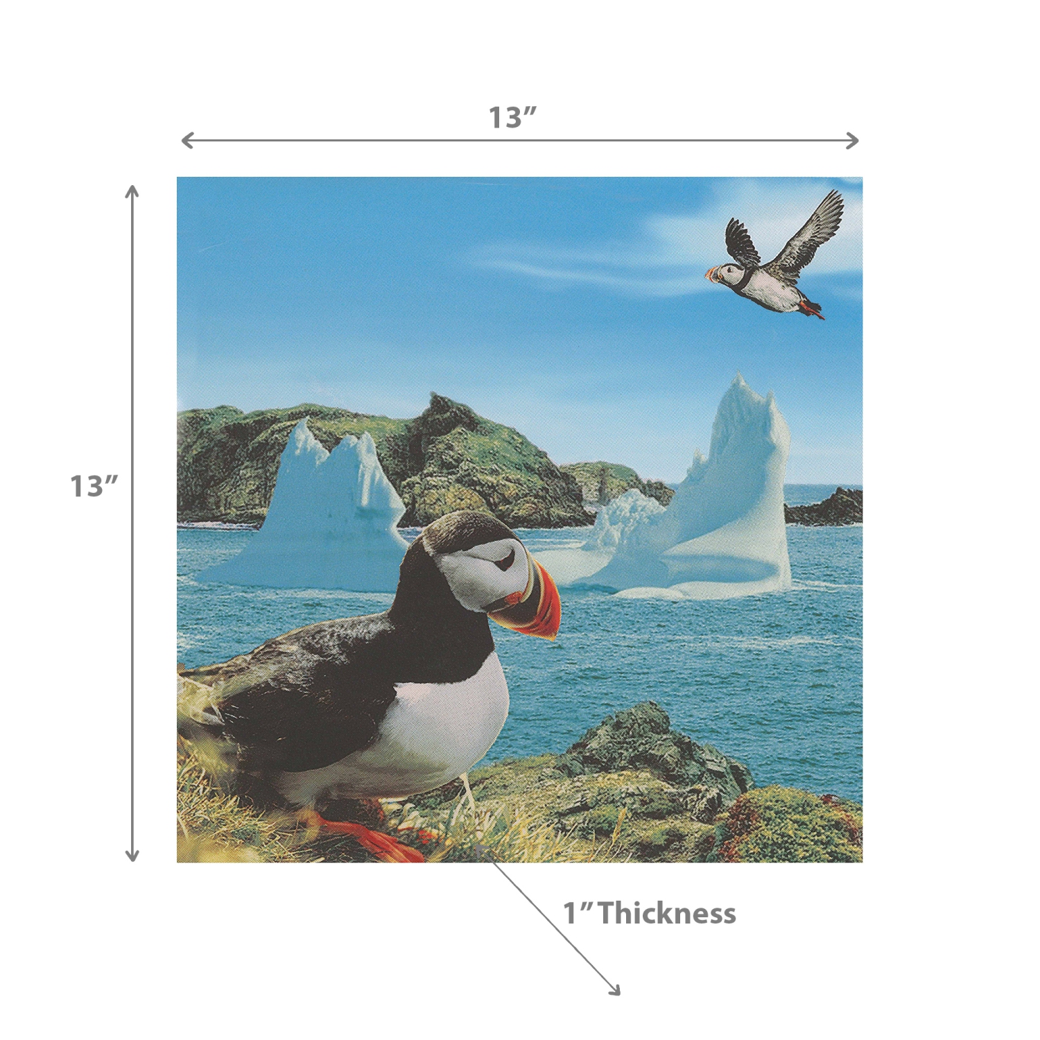 Maison Concepts 20 Pack Luncheon 3 Ply Napkin Puffin - Set of 6