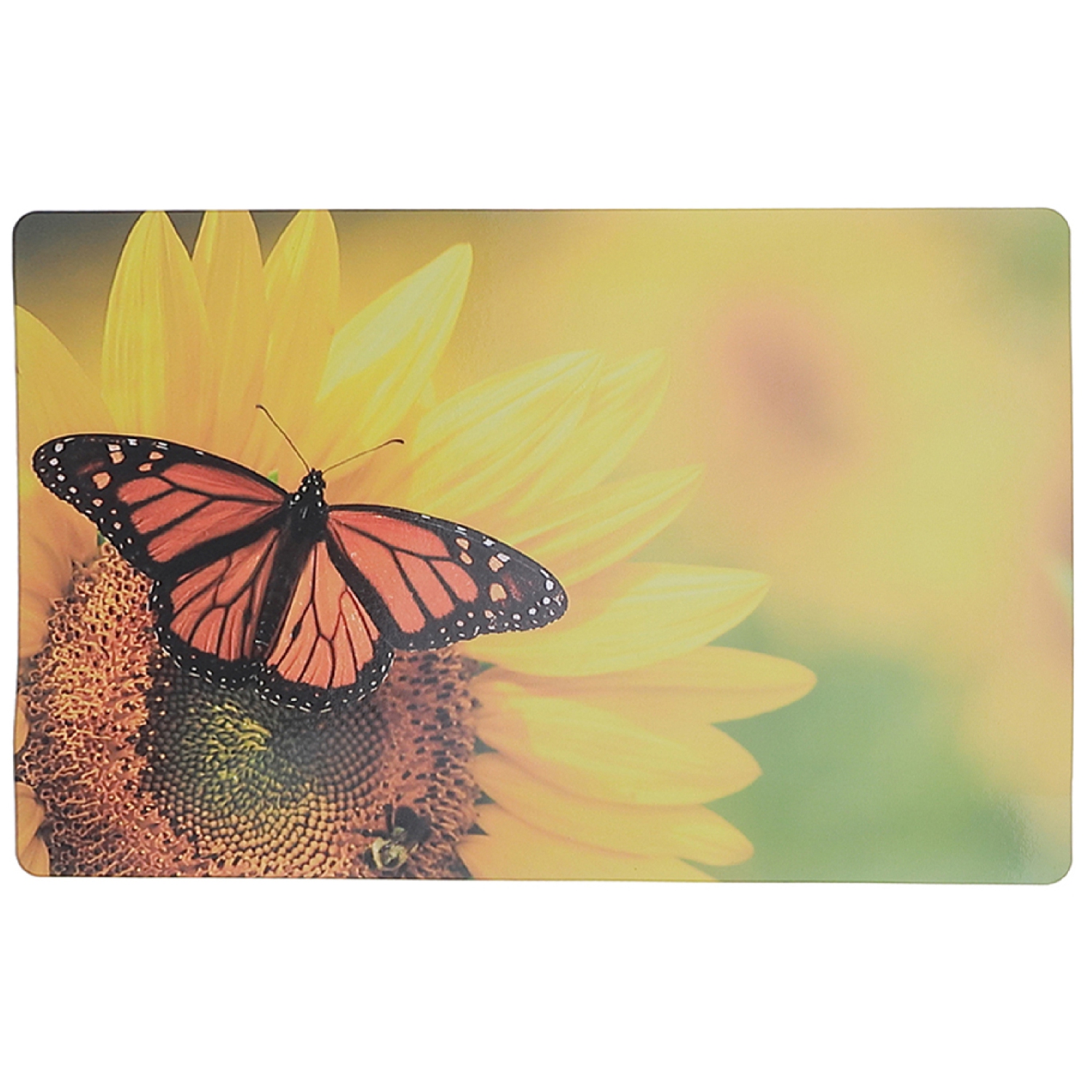Maison Concepts Plastic Placemat Sunflower Butterfly 12 X 18 - Set of 12