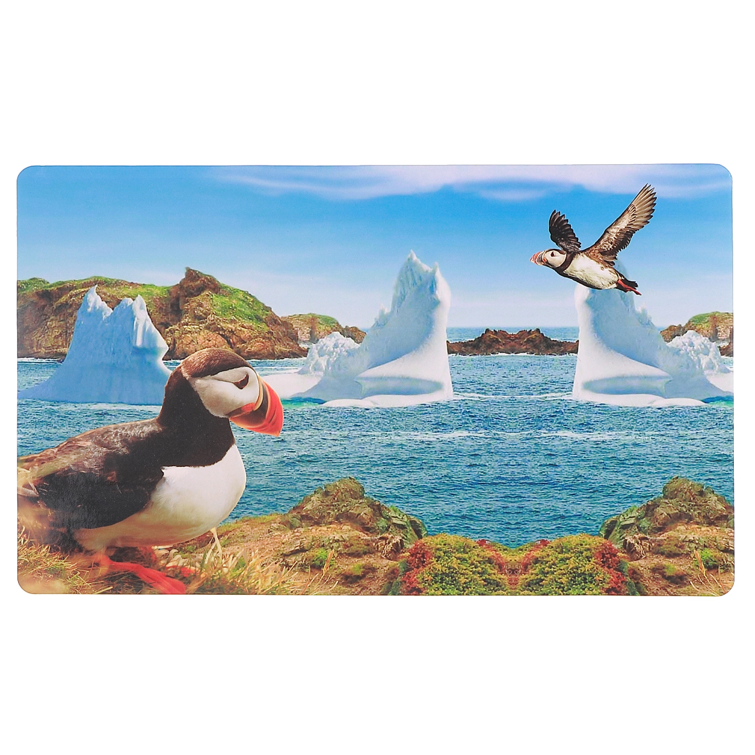 Maison Concepts Plastic Placemat Puffin 10.75 X 16.75 - Set of 12