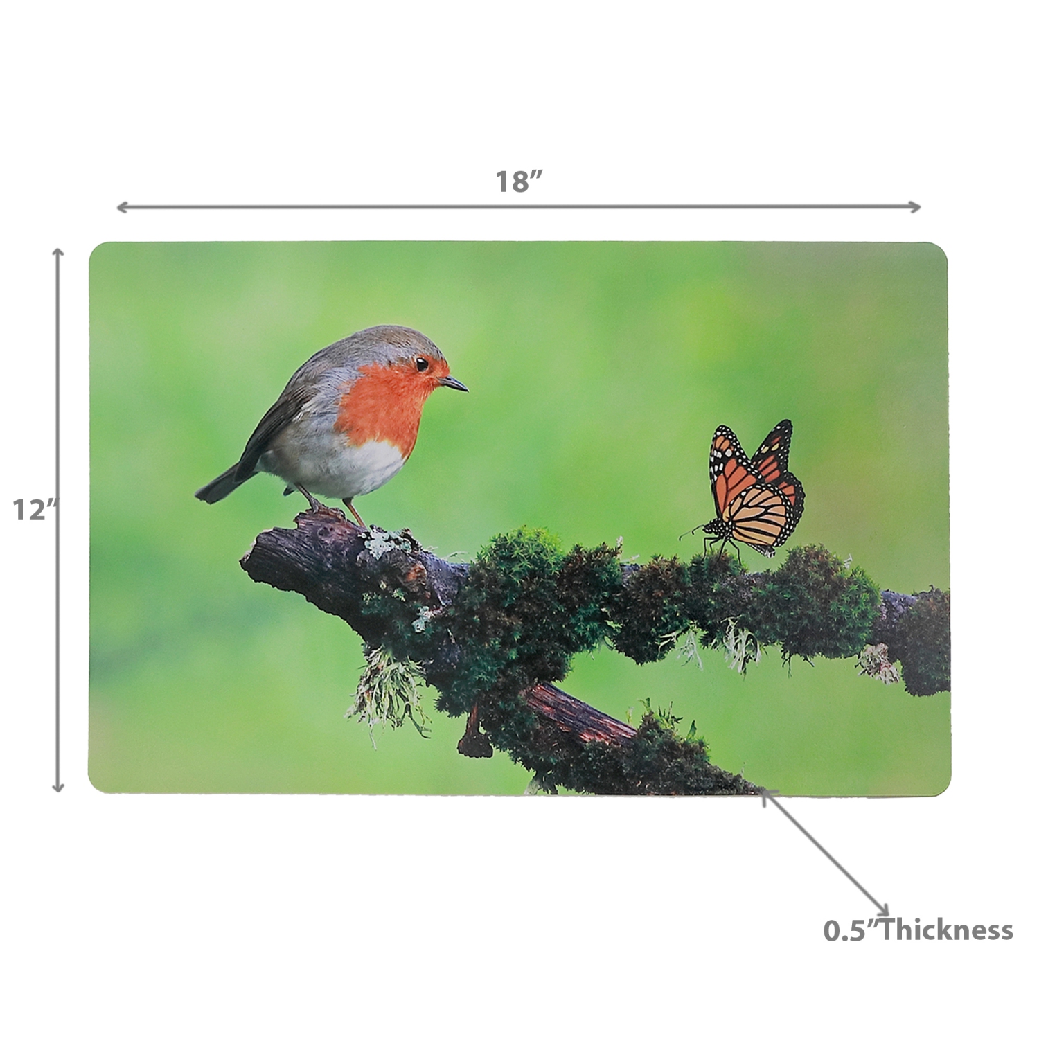 Maison Concepts Plastic Placemat Robin And Monarch 12 X 18 - Set of 12