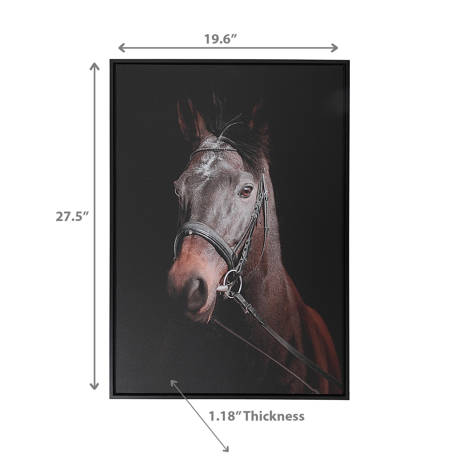 Maison Concepts Framed Canvas Wall Art Horse