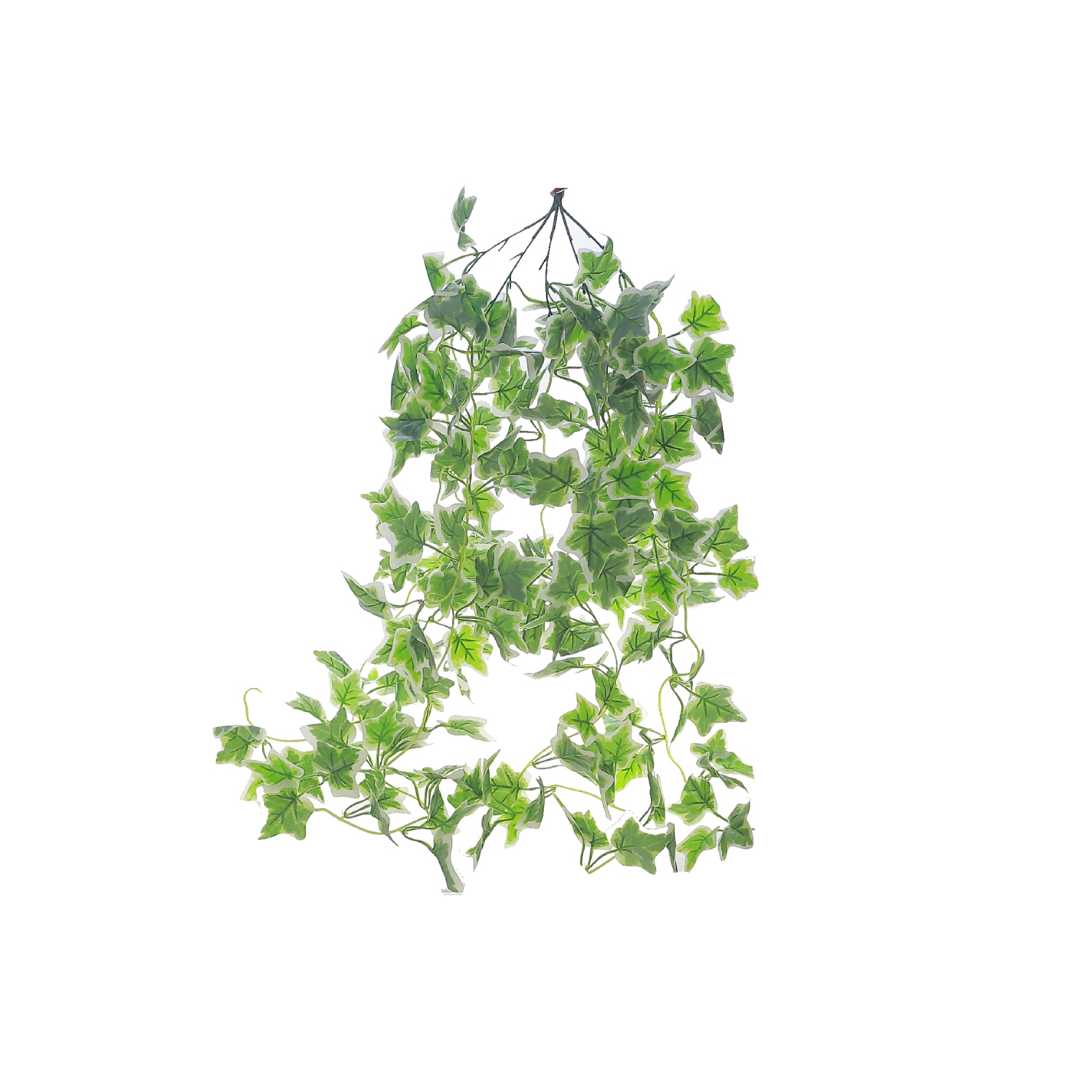 Maison Concepts Ivy Hanging Bush